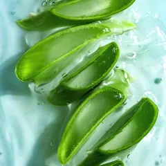Aloe Leaf Juice