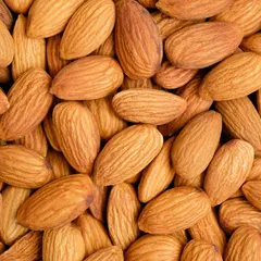 Sweet Almond Oil
